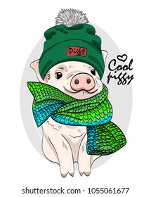 Vector pig with green knitted hat and green scarf. Hand drawn illustration of dressed pig.