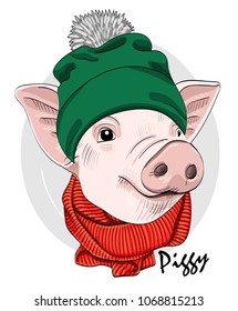 Vector pig with green knitted hat and orange scarf. Hand drawn illustration of dressed piggy. 