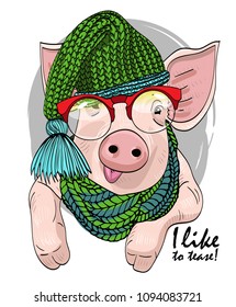 Vector pig with green knitted hat and green knitted scarf. Hand drawn illustration of dressed piggy.