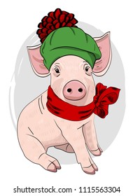 Vector pig with green knitted hat and red scarf. Hand drawn illustration of dressed piggy.