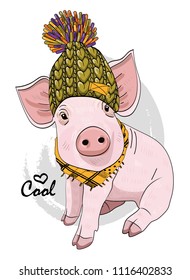 Vector pig with green knitted hat and scarf. Hand drawn illustration of dressed piggy.