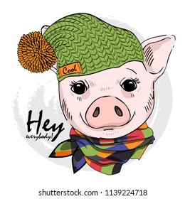 Vector pig with green knitted hat and checkered scarf. Hand drawn illustration of dressed piggy.