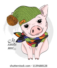Vector pig with green knitted hat and checkered scarf. Hand drawn illustration of dressed piggy.