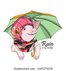 Vector pig with green umbrella, pink hat and scarf. Hand drawn illustration of dressed piggy.