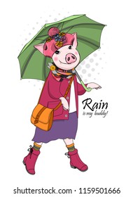 Vector pig with green umbrella, pink hat, bag and  scarf. Hand drawn illustration of dressed piggy.