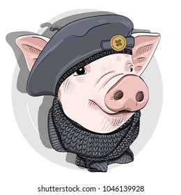 Vector pig with grey beret and knitted scarf. Hand drawn illustration of dressed piggy. 