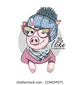 Vector pig with grey hat, glasses, pink dress and blue scarf. Hand drawn illustration of dressed piggy. Fashion pig-girl.