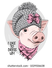 Vector pig with grey knitted hat and scarf. Hand drawn illustration of dressed piggy.