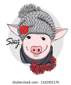 Vector pig with grey knitted hat and knitted scarf. Hand drawn illustration of dressed piggy.