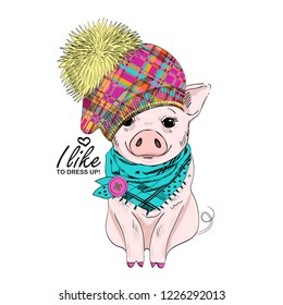 Vector pig with  hat and green scarf. Hand drawn illustration of dressed piggy. Fashion pig-girl.