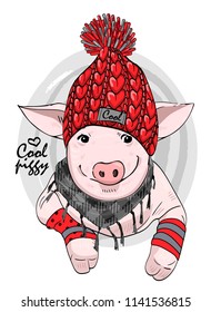 Vector pig with hat and  scarf. Hand drawn illustration of dressed piggy. 9