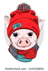 Vector pig with hat and  scarf. Hand drawn illustration of dressed piggy. 2