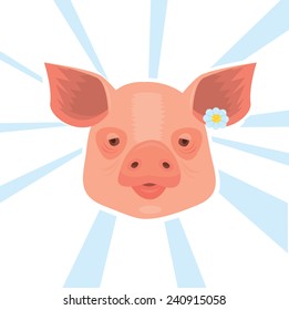 Vector pig head