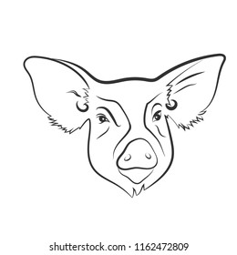 Vector pig head drawn by lines