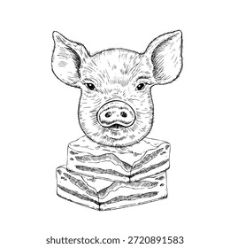 Vector cabeza de cerdo en manteca de cerdo. Ilustración gráfica de la carne del vientre de cerdo, aislado en el fondo. Boceto de línea dibujado a mano. Para los diseñadores, impresiones, logotipo, icono, menú, postales, vacaciones, cubiertas