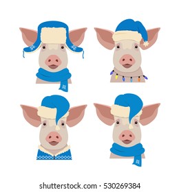 Vector pig head in winter new year, christmas clothing: blue  hat and scarf. Isolated Design object in flat, cartoon style. Chinese new year symbol. Poster, banner, print, advertisement element.