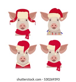 Vector pig head in winter new year, christmas clothing: red  hat and scarf. Isolated Design object in flat, cartoon style. Chinese new year symbol. Poster, banner, print, advertisement element.