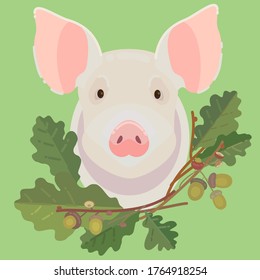 Vector pig head with wreath of oak branches.