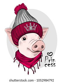 Vector pig with knitted hat, crown and red scarf. Hand drawn illustration of pig.