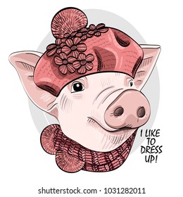 Vector pig with knitted hat and  scarf. Hand drawn illustration of dressed piggy.
