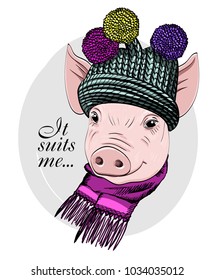 Vector pig with knitted hat and scarf. Hand drawn illustration of dressed piggy. 