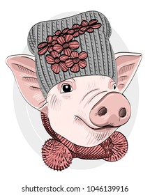 Vector pig with knitted hat and knitted scarf. Hand drawn illustration of dressed piggy. 