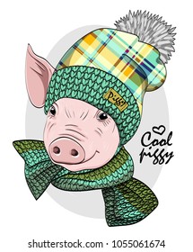 Vector pig with knitted hat and knitted scarf. Hand drawn illustration of dressed pig.