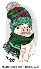 Vector pig with  knitted hat and scarf. Hand drawn illustration of dressed piggy. 