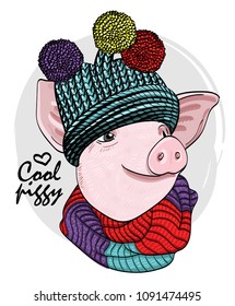 Vector pig with knitted hat and scarf. Hand drawn illustration of dressed piggy.