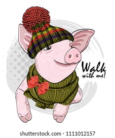 Vector pig with knitted hat and knitted scarf. Hand drawn illustration of dressed piggy.