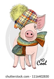 Vector pig with knitted hat and knitted scarf. Hand drawn illustration of dressed piggy.
