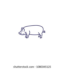 Vector pig. Pig linear contour illustration