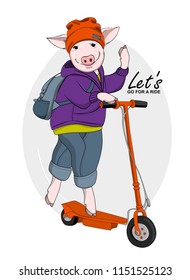 Vector pig with orange scooter. Hand drawn illustration of dressed piggy with orange hat and backpack.