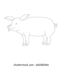 vector of pig outline