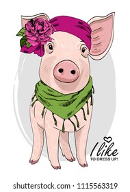 Vector pig with pink flower and scarf. Hand drawn illustration of dressed piggy.