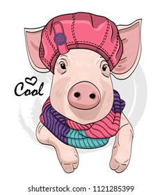 Vector pig with pink hat and knitted scarf. Hand drawn illustration of dressed piggy.