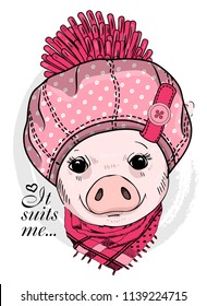 Vector pig with pink hat and scarf. Hand drawn illustration of dressed piggy.