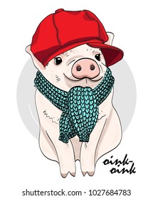 Vector pig with red cap and scarf. Hand drawn illustration of dressed piggy.
