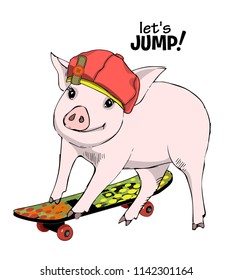 Vector pig with red cap and skateboard. Hand drawn illustration of dressed pig. 4