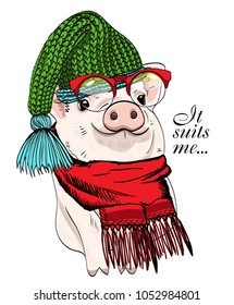 Vector pig with red glasses, green knitted hat and scarf. Hand drawn illustration of dressed pig.