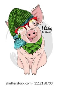 Vector pig with red glasses, green knitted hat and green scarf. Hand drawn illustration of dressed piggy. The pig teased.