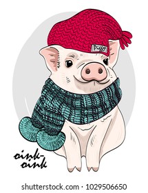 Vector pig with red knitted hat and scarf. Hand drawn illustration of dressed piggy.