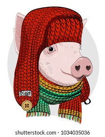Vector pig with red knitted hat and knitted scarf. Hand drawn illustration of dressed piggy. 