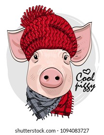 Vector pig with red knitted hat and scarf. Hand drawn illustration of dressed piggy.