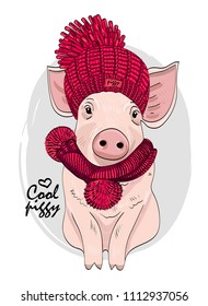 Vector pig with red knitted hat and scarf. Hand drawn illustration of dressed piggy.