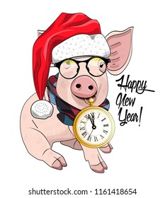 Vector pig - santa claus in a red cap  . Hand drawn illustration of dressed piggy with red glasses фтв