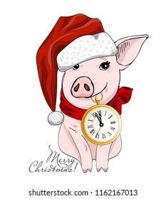 Vector pig - santa claus in a red cap  and red scarf. Hand drawn illustration of dressed piggy with watch. Merry Christmas.