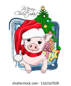 Vector pig - santa claus in a red cap  and red scarf. Hand drawn illustration of dressed piggy with Christmas gingerbread, presents and spruce. Merry Christmas.