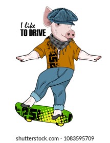 Vector pig with skateboard. Hand drawn illustration of dressed pig. 2