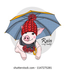 Vector pig with umbrella, knitted hat and scarf. Hand drawn illustration of dressed piggy.